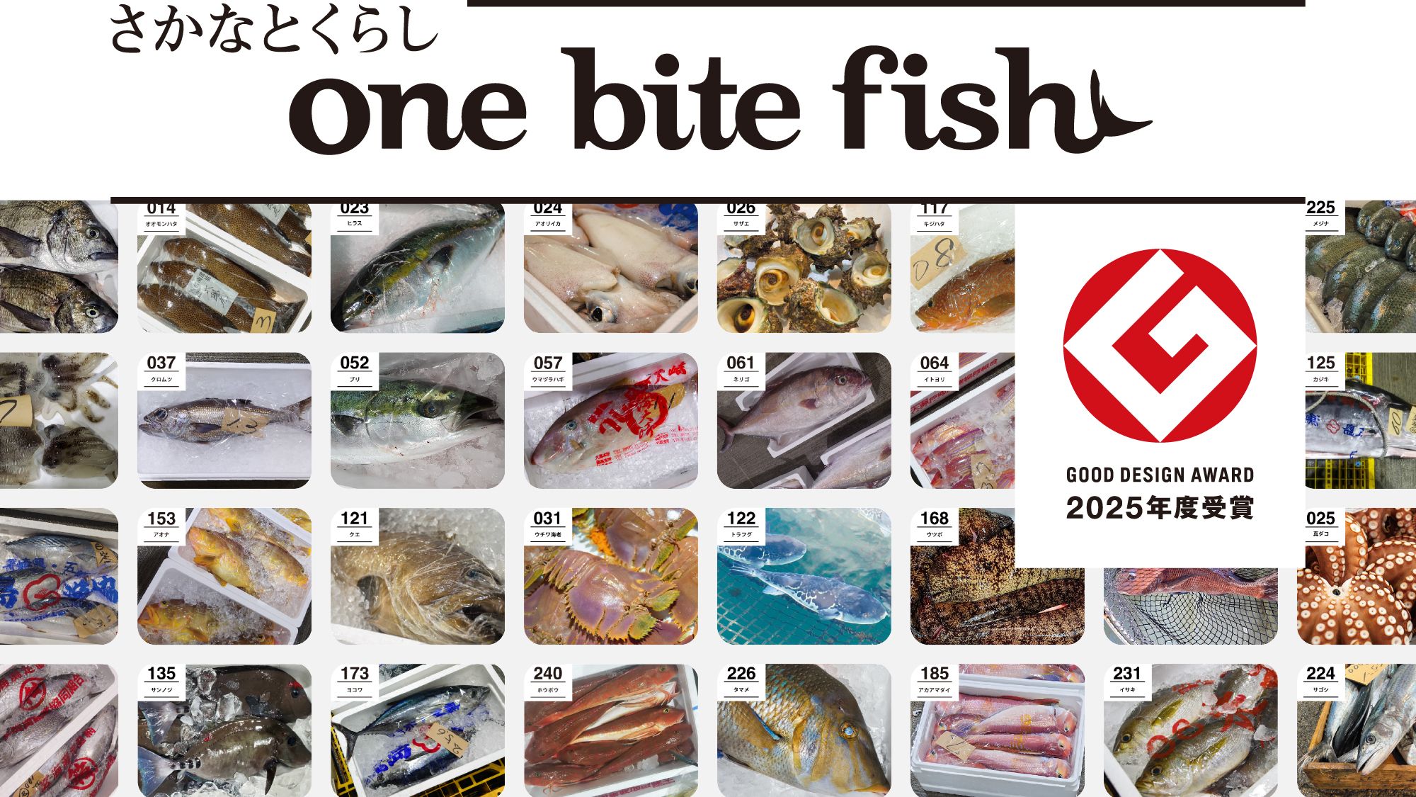 長崎の魚種多様性に新たな価値を提案 冷凍刺身の定期便サービス